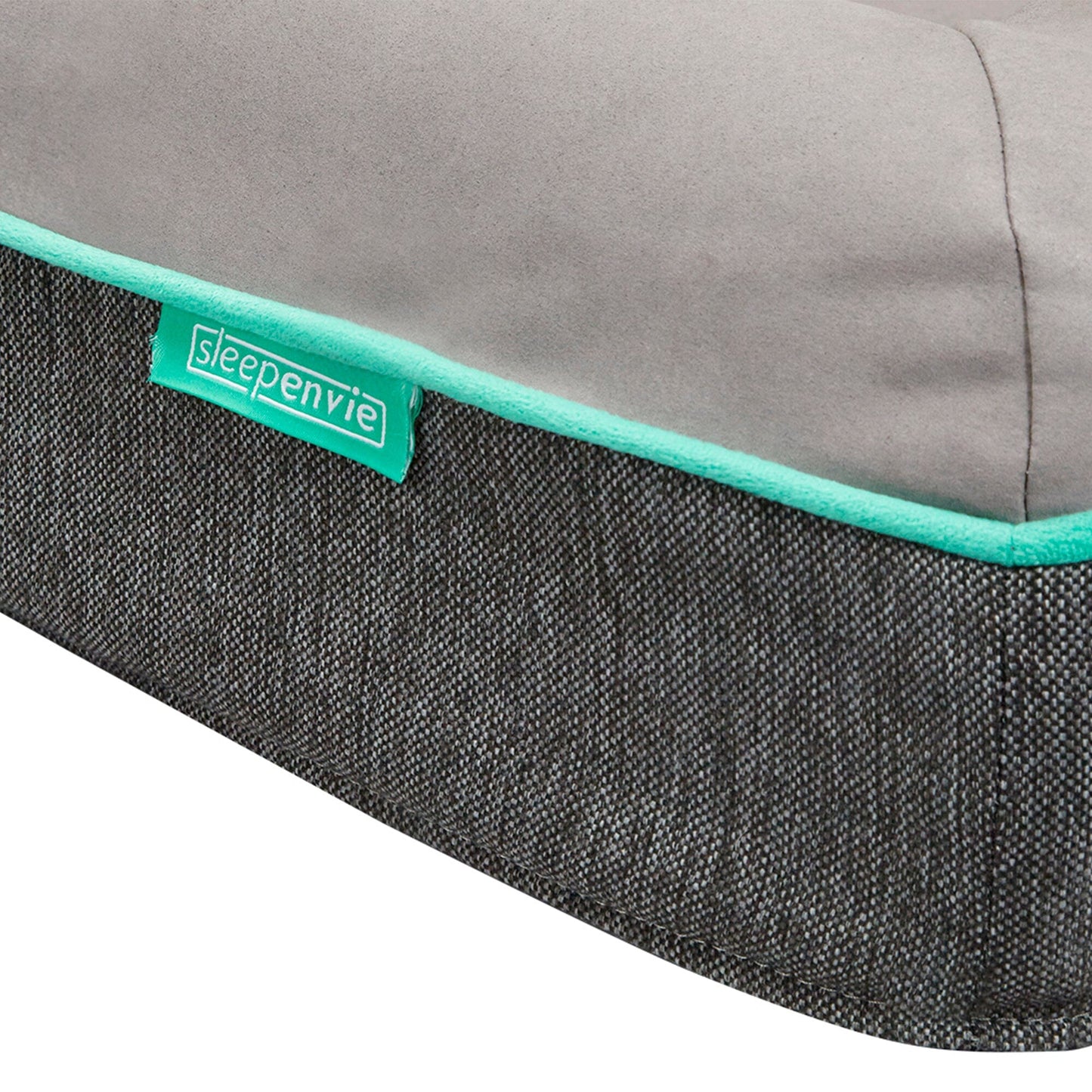 Jaxon Memory Foam Dog Bed Dog Bed Sleepenvie
