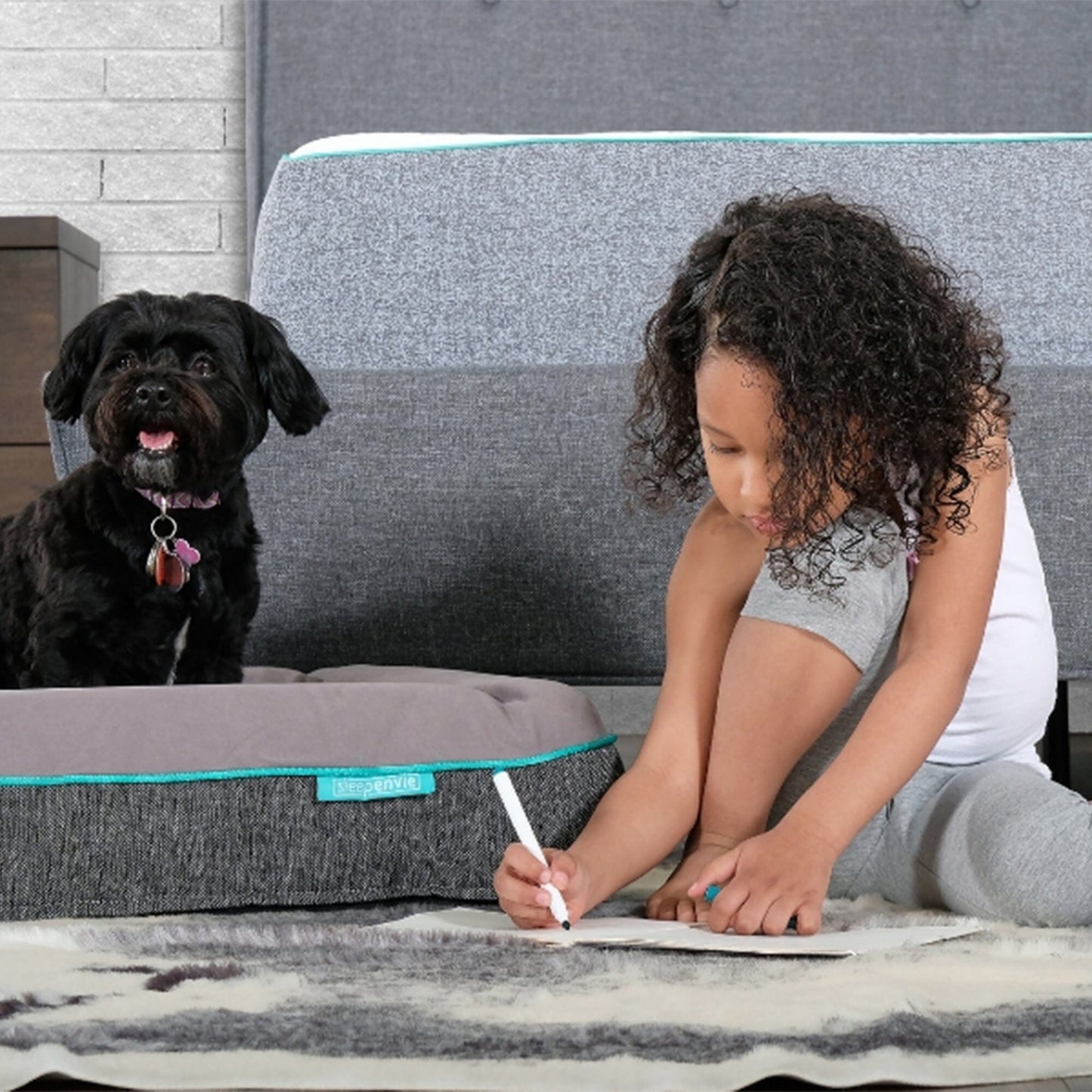 Jaxon Memory Foam Dog Bed Dog Bed Sleepenvie