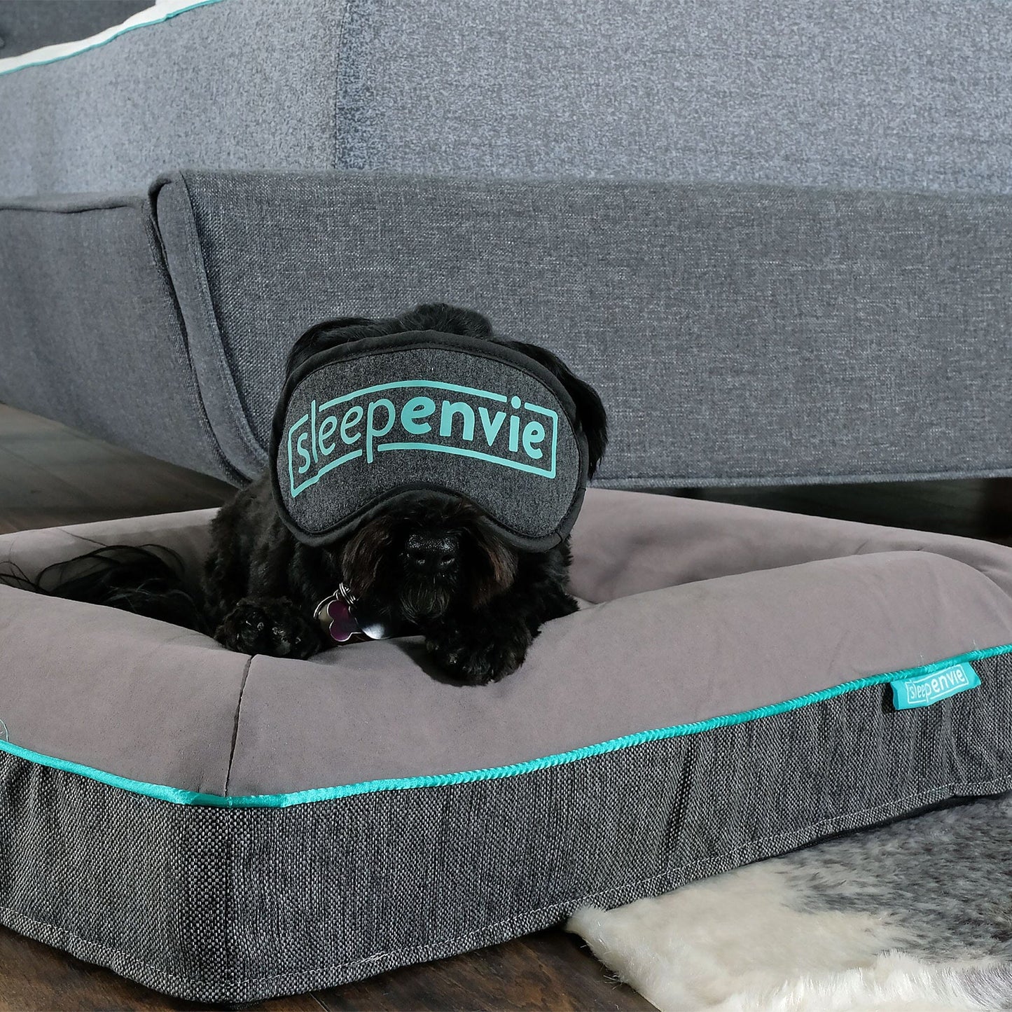 Jaxon Memory Foam Dog Bed Dog Bed Sleepenvie