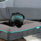 Jaxon Memory Foam Dog Bed Dog Bed Sleepenvie 