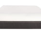 Brienne Low Profile Platform Bed Bed Frames Sleepenvie 